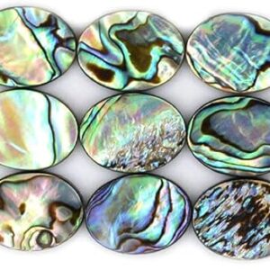 Natural 20mm Abalone Shell Flat Oval Beads Strand