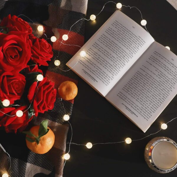 Globe String Lights for Bedroom 10Ft 30 LED Soft White 5