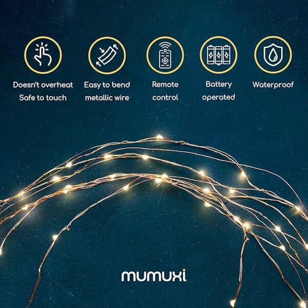 Timer Battery Operated Twinkle Lights with Remote 4