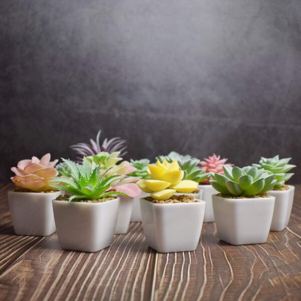 Artificial Faux Succulents in Pots Fake Plants Ceramic Arrangement 12 Set 3