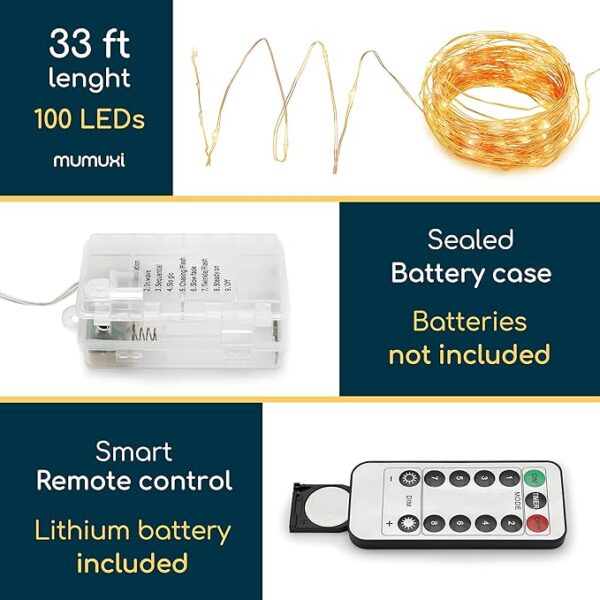 Timer Battery Operated Twinkle Lights with Remote 3