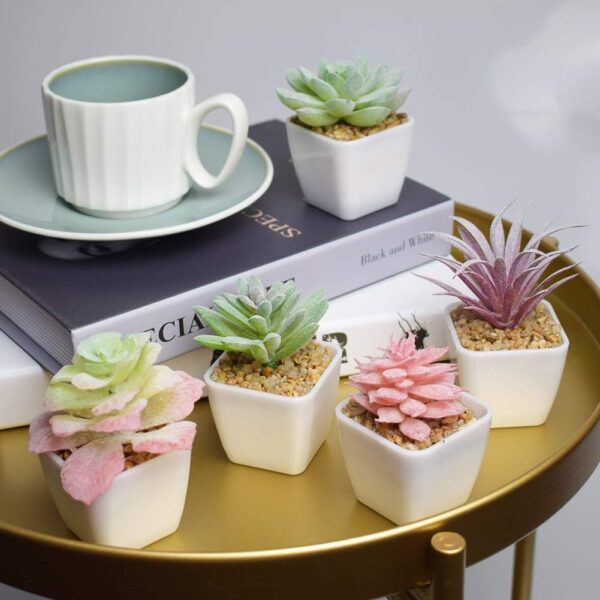 Artificial Faux Succulents in Pots Fake Plants Ceramic Arrangement 12 Set 2