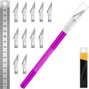 DIYSELF 1 Pcs Craft Hobby Knife Exacto Knife with 11 Pcs Stainless Steel Blade Kit, 1pcs Steel 15CM Ruler for Art