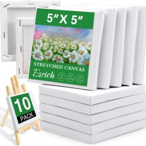 Mini Stretched Canvas 10 Pack 5x5inch, 2/5''Profile Art Primed Canvases for Painting