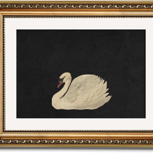 71SWyM+te3L._AC_SL1500_ Gold Framed Wall Art Canvas Print Home Decor Wall Decorations Grace Swan Art Painting