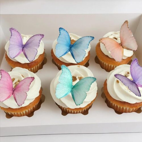 Edible Wafer Glutinous Paper Butterflies for Birthday Cake Decorating include 48 Pcs Colorful Small Pastel Cupcake Topper Decorations