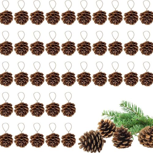 81khR5AAihL._AC_SL1200_ 40 Pcs Natural Mini Christmas Pine Cones - Tiny Pinecones for Crafts, Bulk Pine Cones Ornaments