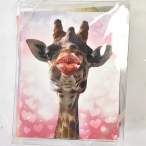 The Best Card Company 20 Assorted Valentines Day Cards 10 Designs Wild Kisses