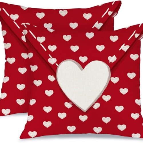 1 Valentine's Day Pillow Cover 18X18 Set of 2