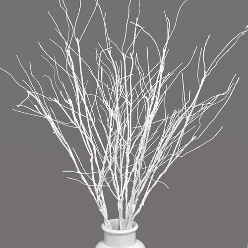 1 Artificial Branches Curly Willow Branches Olive Branches