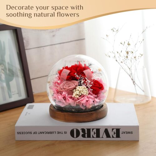 5 Preserved Rose Flowers, Unique Floral Gifts for Women, Long-Lasting Real Flowers Bouquet to Show Love on Valentine's Day, Mother's Day,Birthday,Anniversary,Special days - Style3