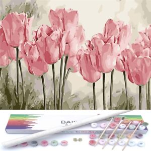 Paint by Numbers Kit for Adults Beginners,20" Wx16 L Canvas for Painting Kits for Adults in Colorful Box Poppy Flowers-BSC002