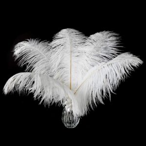24pcs Natural White Ostrich Feathers 10-12inch (25-30cm) for Wedding Party Centerpieces