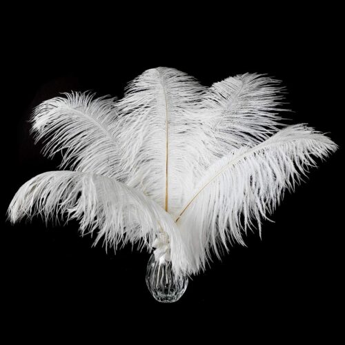 71eNxnsI8EL._AC_SL1200_ 24pcs Natural White Ostrich Feathers 10-12inch (25-30cm) for Wedding Party Centerpieces