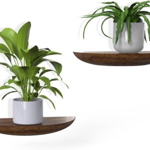 Solid Wood Half Round Floating Wall Shelves | Elegant Floating Shelves, Elevate Your Space. Perfect for Living Rooms, Bathrooms, Bedrooms, Offices, Children's Rooms