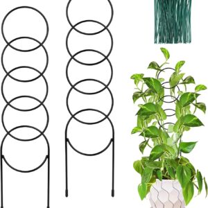 17.5 Inch Indoor Plant Trellis for Climbing Plants,Metal Trellis,Small Garden Trellis for Potted Plants,Plant Stakes for Indoor Plants Accessories Hoya,Flower,Plant Support,Plant Gifts(Circular-Metal)