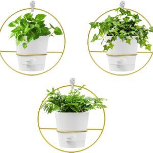 Wall Planters for Indoor Plants Set of 3-5" Modern Hanging Planters with Gold Round Metal Holders, Geometric Self Watering Wall-Mounted Indoor Flower Pots for Home Décor (White Pot)