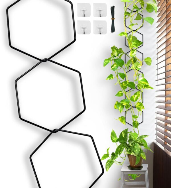 18 Pcs Chain Trellis for Climbing Plants, 7.5(ft) L Wall Plant Trellis Indoor, Pothos Plant Climber Support for Ivy Hoya Flower, Hexagons 1