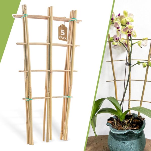 5 Pack 16" Bamboo Trellis for Climbing Plants-Natural Garden Ladder Fan -Shaped Plants Support Trellis for Potted Plant Decor in Door 1