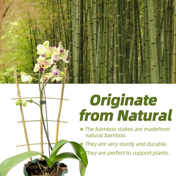 5 Pack 16" Bamboo Trellis for Climbing Plants-Natural Garden Ladder Fan -Shaped Plants Support Trellis for Potted Plant Decor in Door 2