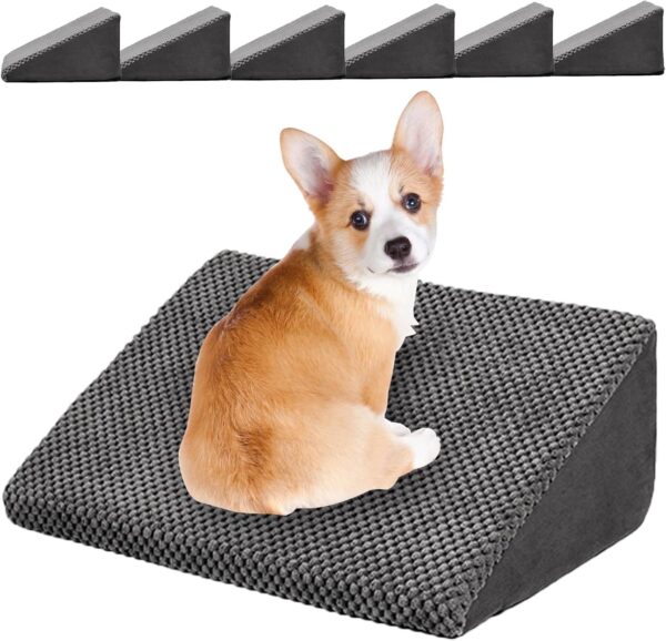 small dog steps