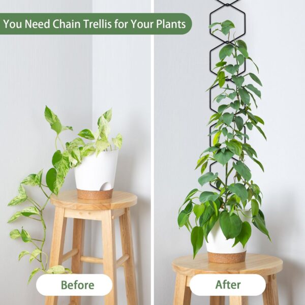 18 Pcs Chain Trellis for Climbing Plants, 7.5(ft) L Wall Plant Trellis Indoor, Pothos Plant Climber Support for Ivy Hoya Flower, Hexagons 3