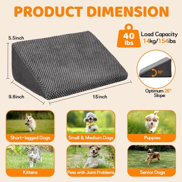 small dog steps