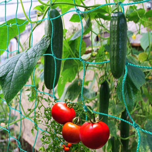 1 Trellis Netting for Climbing Plants - Heavy Duty Garden Trellis Netting for Cucumber, Vine, Fruits & Vegetables Tomato Plants Trellis Net, Climbing Vining Plants (1-Pack 8.2' x 6.6'Ft)