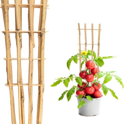 10 Pack 16" Bamboo Trellis for Climbing Plants, Fan-Shaped Natural Garden Ladder Trellis for Climbing Plants Potted Plants House Plants