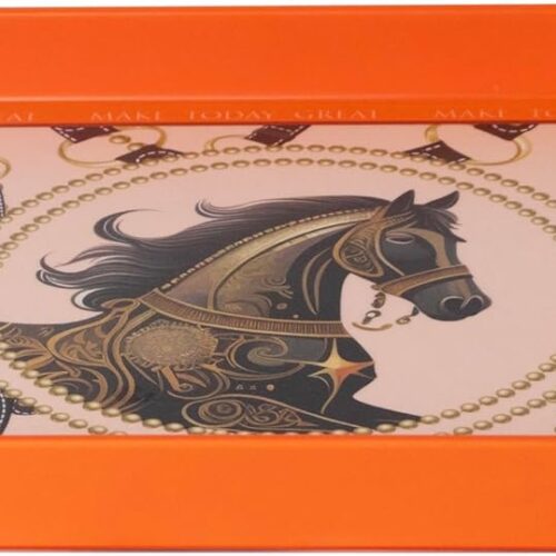 Orange Square Tray for Decor Party Tray Table Trays Decorative Trays for Coffee Table (Orange)