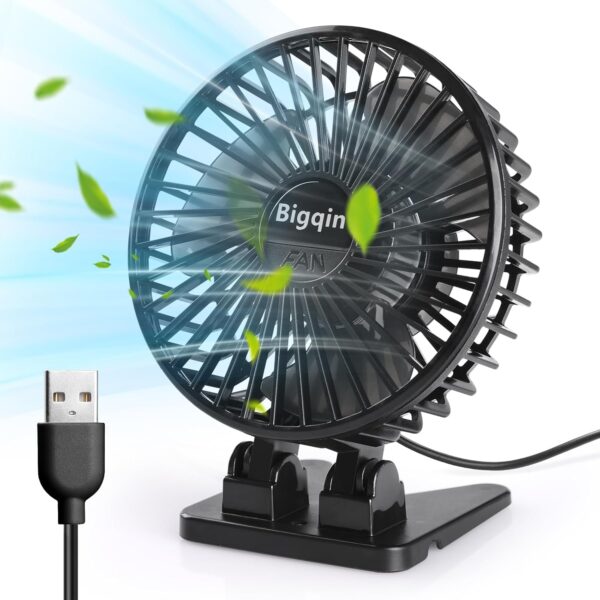 Fan