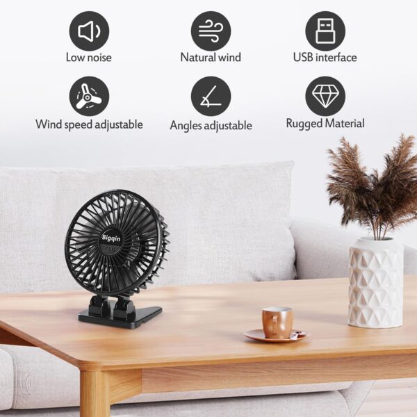 Fan
