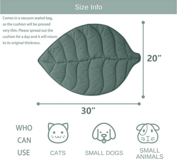 Leaf