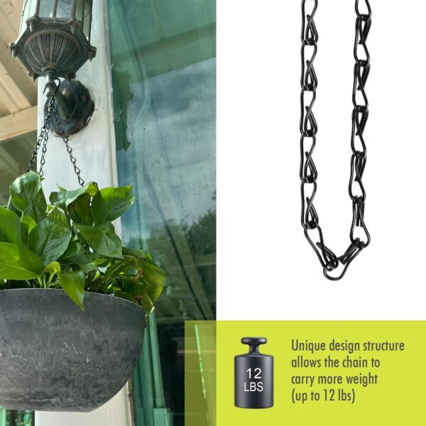Hanging Plants