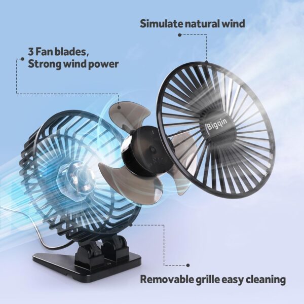 Fan