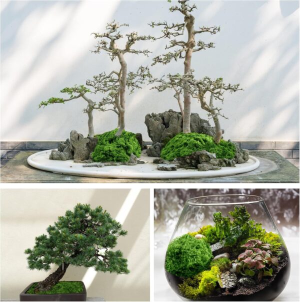 Fake Green Moss for Plants Indoor, 5.3OZ Fake Moss Decor Faux Moss for Crafts Preserved Artificial Moss for DIY Decorative Moss Table Centerpieces Decor Fairy Garden Floral Wedding (150g) 3 Green Moss