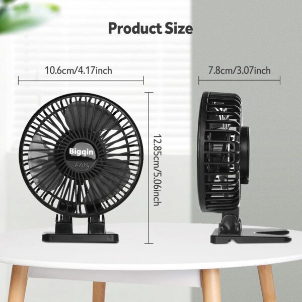 Fan