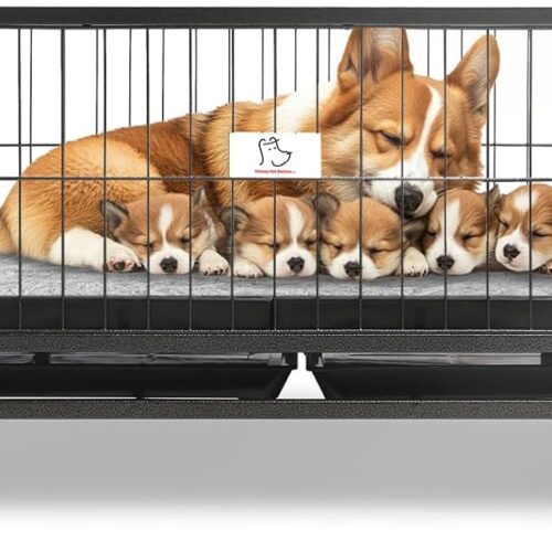 43" Metal Dog Whelping Box, Heavy Duty for Small Breeds, Washable Plastic Floor, Removable Tray, Lockable Wheels