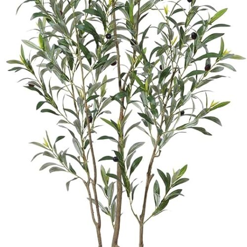1 Artificial Olive Trees, 6 ft Tall Fake Olive Trees for Indoor, Faux Olive Silk Tree, Large Olive Plants with White Planter for Home Decor and Housewarming Gift, 1 Pack