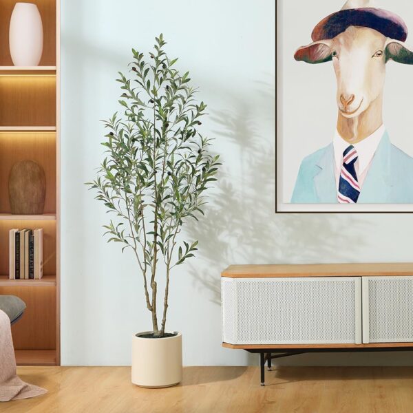 Olive Trees