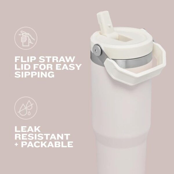 IceFlow 2.0 Flip Straw Tumbler with Handle 30 oz | Twist On Lid and Flip Up Straw | Leak Resistant Water Bottle | Insulated Stainless Steel | BPA-Free | Frost 3 Tumbler