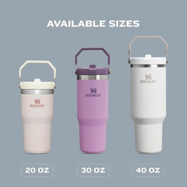 IceFlow 2.0 Flip Straw Tumbler with Handle 30 oz | Twist On Lid and Flip Up Straw | Leak Resistant Water Bottle | Insulated Stainless Steel | BPA-Free | Frost 4 Tumbler