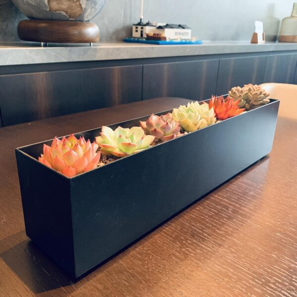 Modern Metal Steel Trough Planter - Rectangle Black Planters for Indoor - 16" Window Sill Planters - Table or Window Boxes Planter - Windowsill Herb(1pc Short Black) 2