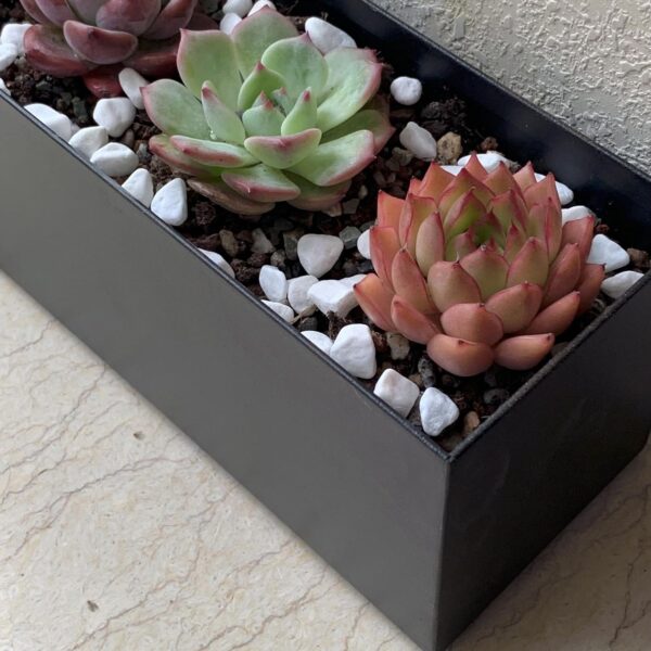 Modern Metal Steel Trough Planter - Rectangle Black Planters for Indoor - 16" Window Sill Planters - Table or Window Boxes Planter - Windowsill Herb(1pc Short Black) 3