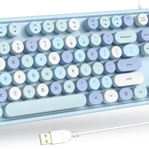 Computer Wired USB Keyboard - Blue Full-Size Round Keycaps Retro Typewriter Keyboards, for Windows, PC, Laptop, Desktop, Mac