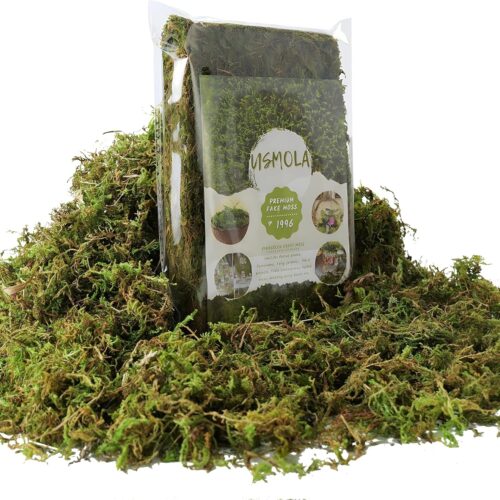 ake Green Moss for Potted Plants, 4OZ Artificial Moss for DIY Crafts,(Fresh Green 140gr)
