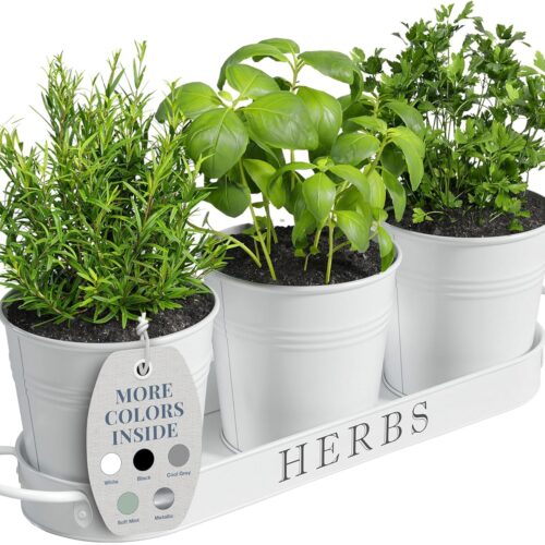 Designs Indoor Herb Garden Planter Set with Tray, Metal Windowsill Plant Pots with Drainage for Outdoor or Indoor Plants, Set/3 (White)