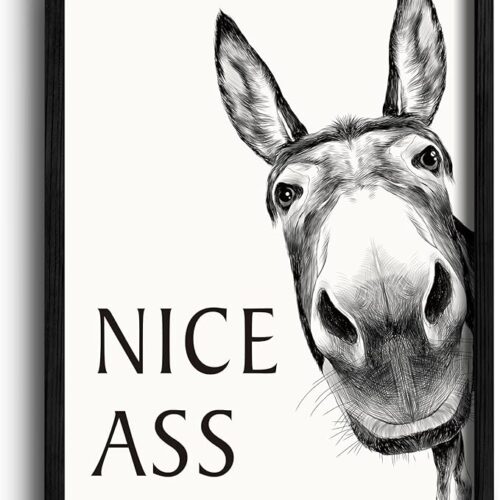 Framed Bathroom Art Bathroom Wall Decor Farmhouse Home Decor Sets Vintage Funny Wall Art Signs (Black,