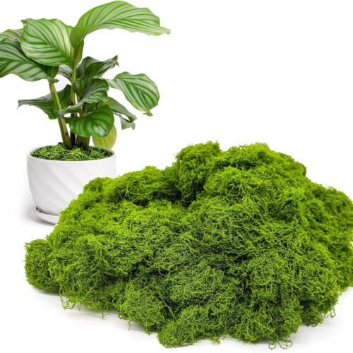 Fake Green Moss for Potted Plants Indoor, 5.3oz Artificial Moss for Crafts, Faux Moss Decor for Fairy Garden, DIY Decorative, Model Making, Walls, Glass Containers, Home