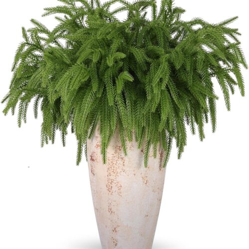 12 Pcs Artificial Norfolk Pine Branches, Norfolk Pine Artificial Pine Stems DIY Crafts Faux Christmas Greenary Norfolk Pine Branches for Xmas Wreath Garland Home Decor (12)